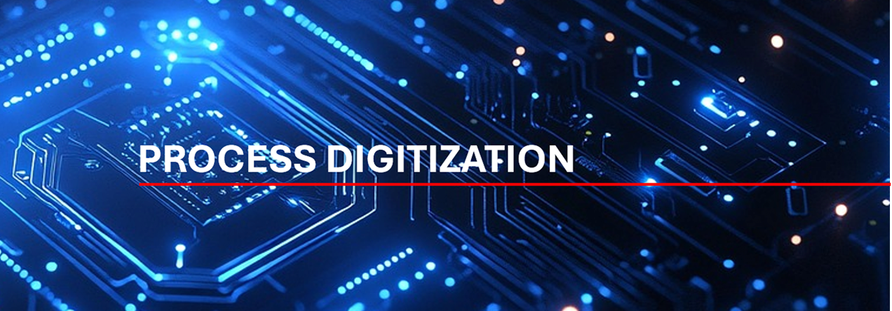 Process Digitization